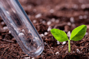 Для чего нужен агрохимический анализ почвы?